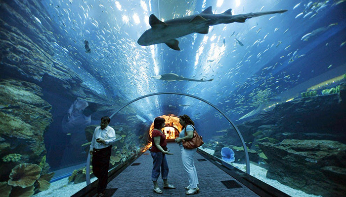 Dubai Aquarium