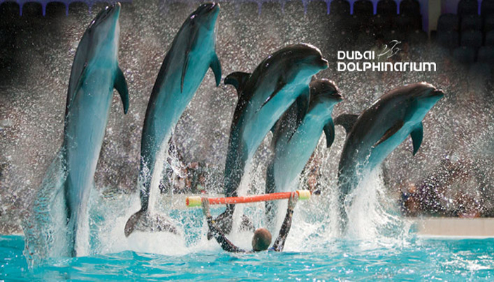 Dubai Dolphinarium